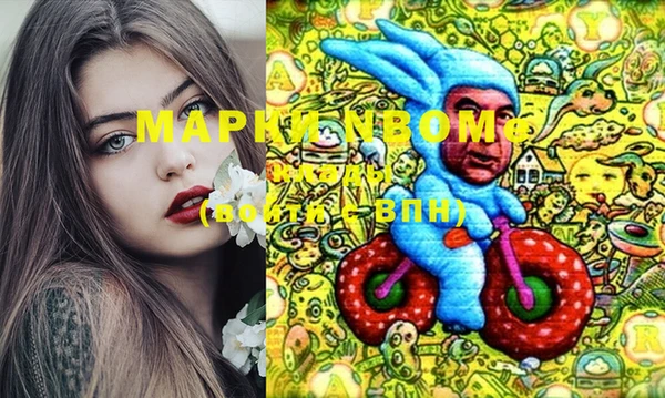 хмурый Магас