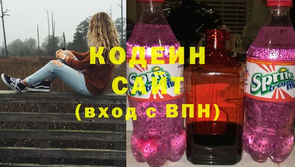 хмурый Магас