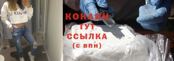 хмурый Магас