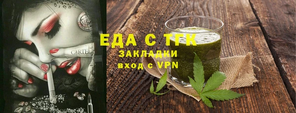 хмурый Магас