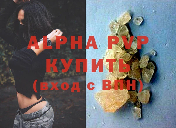 хмурый Магас