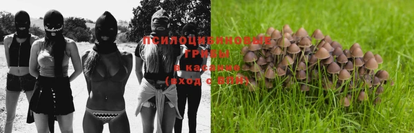 хмурый Магас